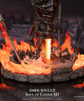 Soul of Cinder SD - Definitive edition (b4b2b838-9c58-486b-bb18-708d5ac83d6b.jpg)