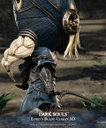 Dark Souls™ - Lord's Blade Ciaran SD (Standard) (ciaransd_st_16.jpg)