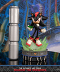 Sonic The Hedgehog - The Ultimate Life Form: Shadow the Hedgehog (eeaa2577-4a62-4ed8-ab53-8e15031059da.jpg)