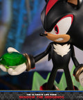 Sonic The Hedgehog - The Ultimate Life Form: Shadow the Hedgehog (f6306a08-6fa7-4d58-9496-a8d88de01042.jpg)
