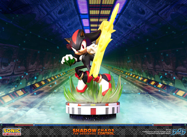 Sonic the Hedgehog™ – Shadow the Hedgehog: Chaos Control (Standard