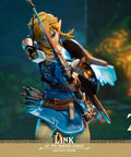 The Legend of Zelda™: Breath of the Wild – Link (Exclusive Edition) (link_exc_15.jpg)