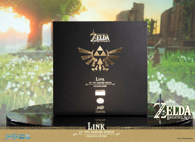 The Legend of Zelda™: Breath of the Wild – Link (Exclusive Edition) (link_exc_34.jpg)