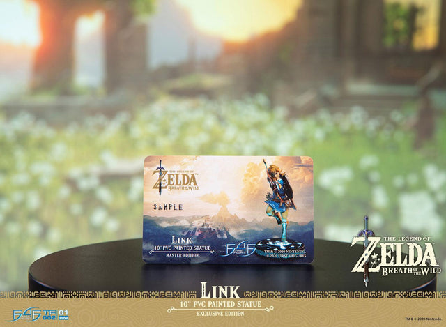 The Legend of Zelda™: Breath of the Wild – Link (Exclusive Edition) (link_exc_35.jpg)