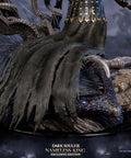 Dark Souls™️ III - Nameless King (Exclusive Edition) (namelesskingex_28.jpg)