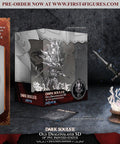 Dark Souls™ II – Old Dragonslayer SD (Exclusive Edition) (ornsteinsd_silver_00.jpg)