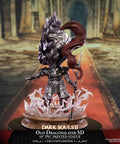 Dark Souls™ II – Old Dragonslayer SD (Exclusive Edition) (ornsteinsd_silver_16.jpg)