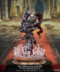 Dark Souls™ II – Old Dragonslayer SD (Exclusive Edition) (ornsteinsd_silver_17.jpg)