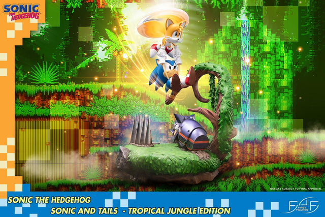 Sonic the Hedgehog – Sonic and Tails Tropical Jungle Edition (s_t_jungle_cover.jpg)