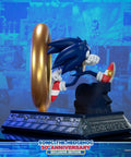 Sonic the Hedgehog 30th Anniversary (Exclusive) (sonic30_st-03_1.jpg)