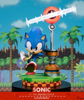 Sonic the Hedgehog: Sonic Exclusive Edition (sonic_exc_h03.jpg)