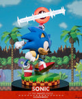 Sonic the Hedgehog: Sonic Exclusive Edition (sonic_exc_h05.jpg)