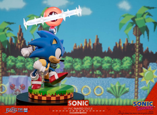 Sonic the Hedgehog: Sonic Exclusive Edition (sonic_exc_h12.jpg)