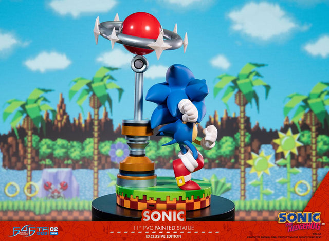 Sonic the Hedgehog: Sonic Exclusive Edition (sonic_exc_h17.jpg)