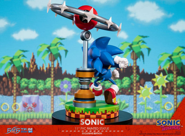 Sonic the Hedgehog: Sonic Exclusive Edition (sonic_exc_h18.jpg)