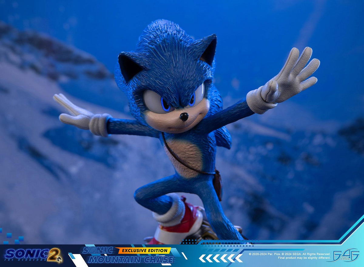 Sonic the Hedgehog 2 - Sonic Mountain Chase (Exclusive Edition) – First ...